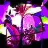 Cover Image for Wilder Elisa Amaral Disco Remix
