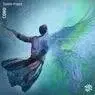 Cover Image for Stable Flight Original Mix