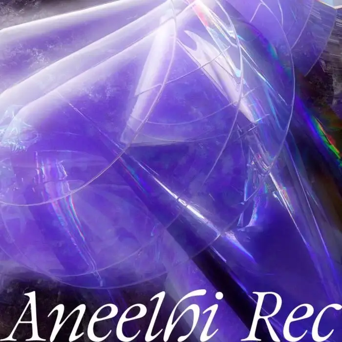 Cover Image: VA - Fluid Horizons on Aneelhi Rec