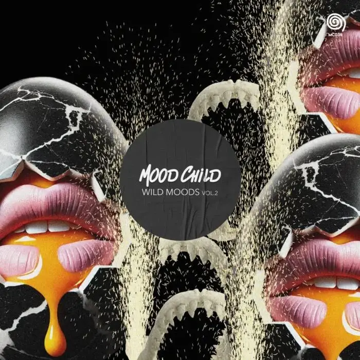 Cover Image: VA - Wild Moods Vol.2 on Mood Child