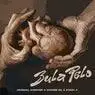 Cover Image for Bula Pelo Original Mix