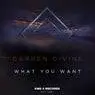 Cover Image for What You Want Original Mix