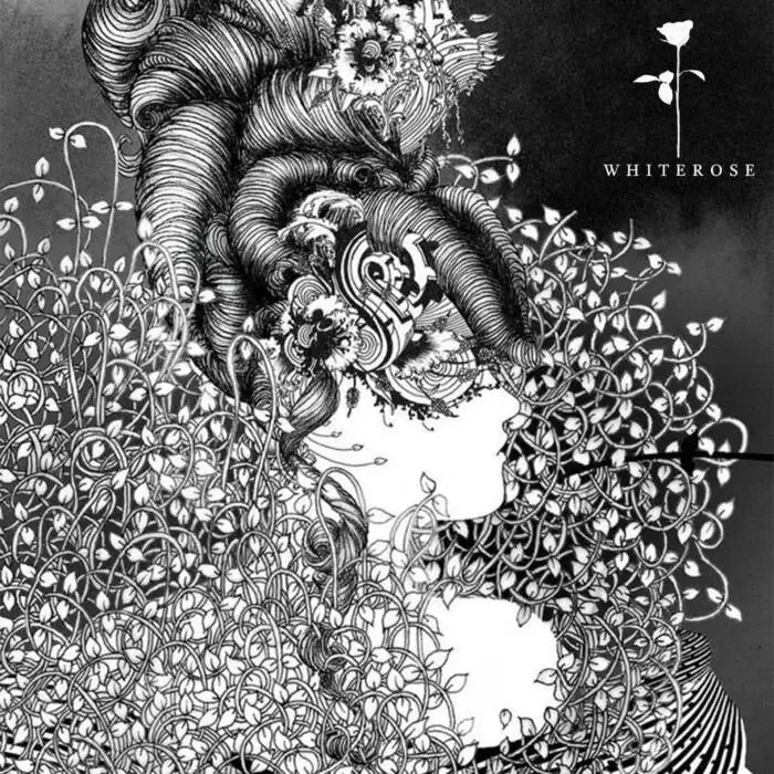 Cover Image: Matara - Real Love Baby on White Rose Recordings