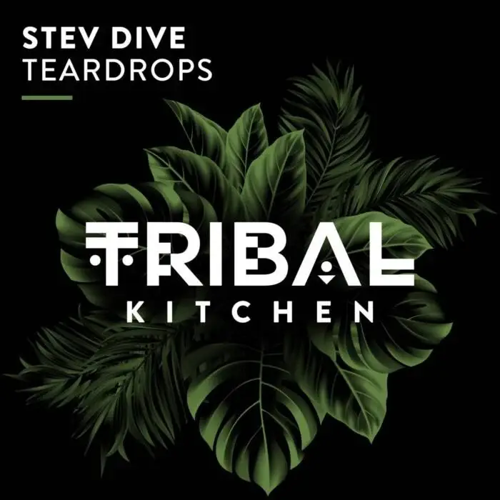 Cover Image: Stev Dive - Teardrops on Tribal Kitchen