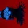 Cover Image for The Transmission Original Mix