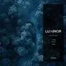 Cover Image for Luminor Original Mix