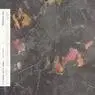 Cover Image for New York Eagles & Butterflies Remix