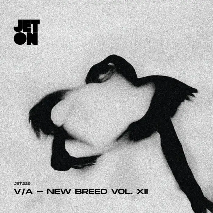 Cover Image: VA - New Breed, Vol. Xii on Jeton Records