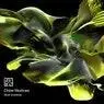 Cover Image for Acid Universe Original Mix