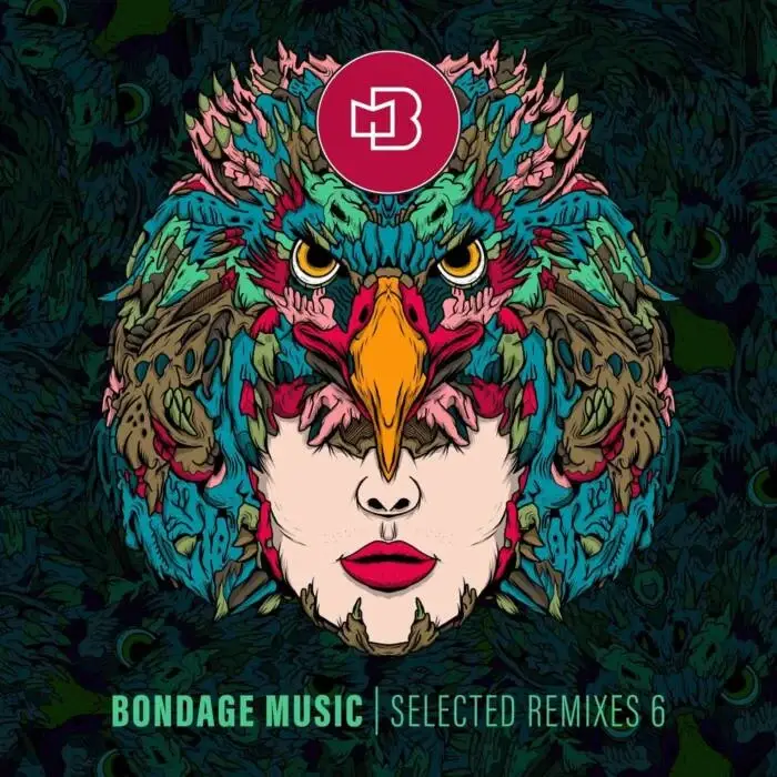 Cover Image: VA - Selected Remixes 6 on Bondage Music