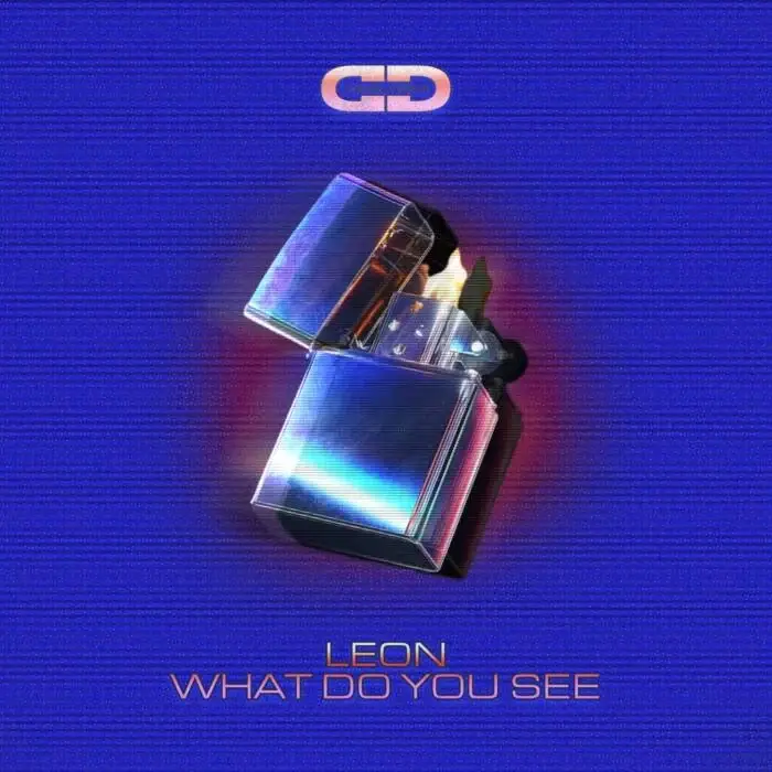 Cover Image: Leon (Italy) - What Do You See on Dansu Discs