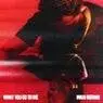 Cover Image for What You Do to Me Extended Mix