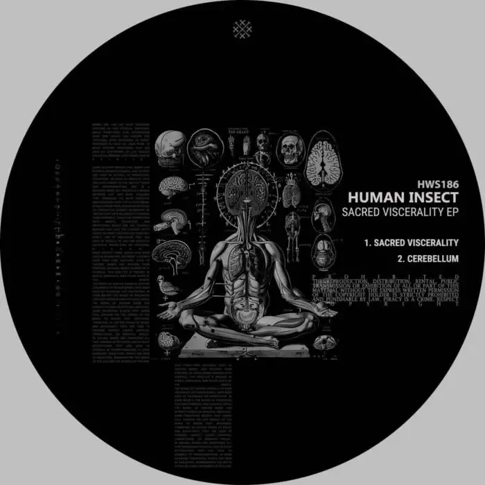 Cover Image: Human Insect - Sacred Viscerality EP on Healed Wounds
