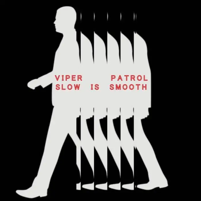 Cover Image: Viper Patrol - Slow Is Smooth on Nein Records