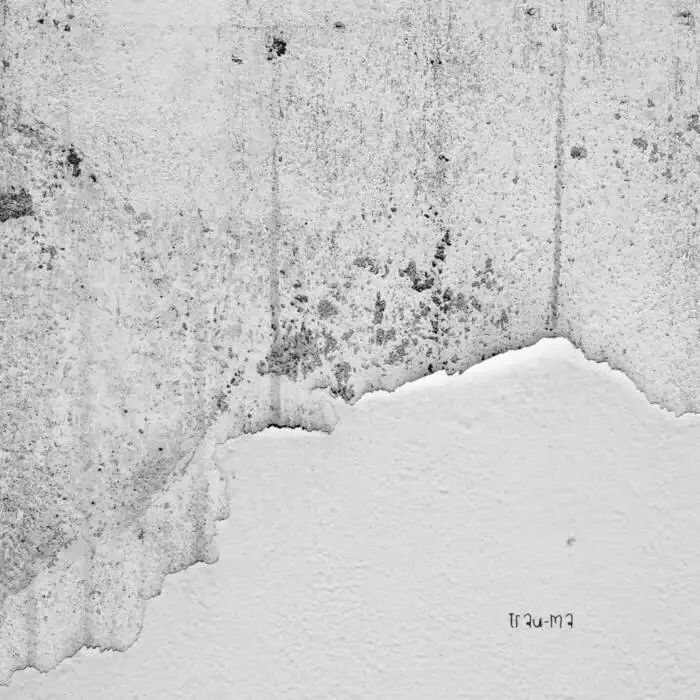 Cover Image: Konstantin Scharf - Opal on trau-ma