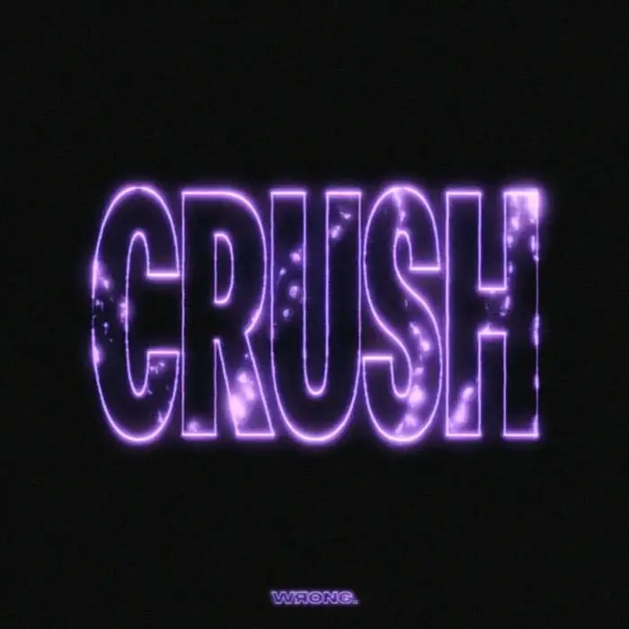 Cover Image: Biscits - Crush (Selena Faider Remix) on WRONG.