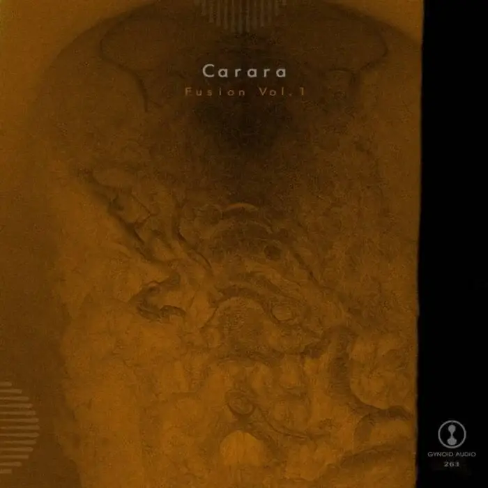 Cover Image: Carara - Fusion, Vol. 1 on Gynoid Audio