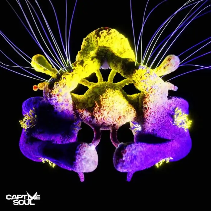 Cover Image: Carlo Whale, Th;en - Fragments of Light on Captive Soul