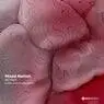 Cover Image for Mood Nation Eddy Romero Remix