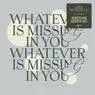 Cover Image for Whatever Is Missing In You Aeroplane Motion Extended Mix