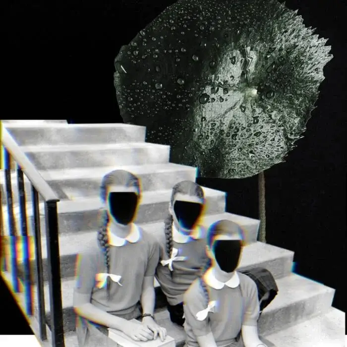Cover Image: VA - Before Everything Else Vol. 6 - Night Edition on Serialism Records