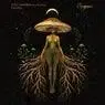 Cover Image for Falling Extended Mix