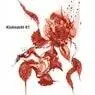 Cover Image for Evaneszenz Original Mix