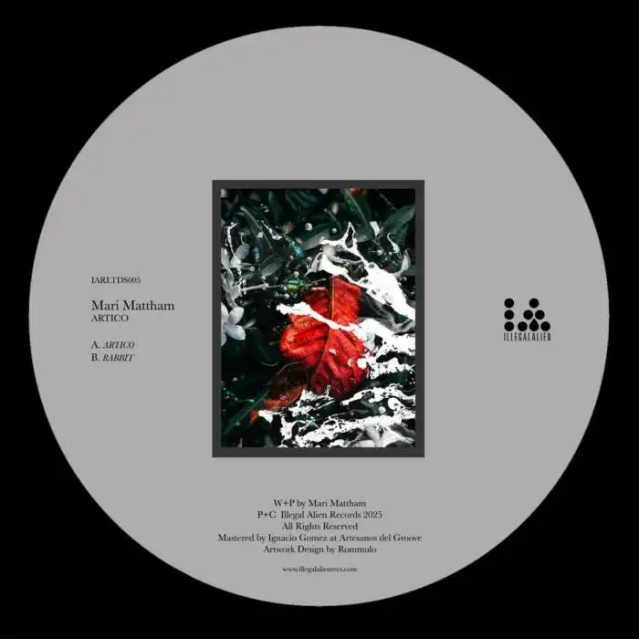 Cover Image: Mari Mattham - Artico on Illegal Alien LTD