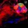 Cover Image for Internalized Clock Original Mix