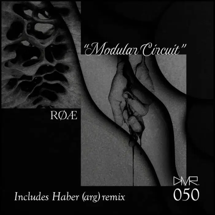 Cover Image: RØÆ - Modular Circuit on Dissolved Mind