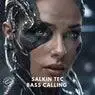 Cover Image for Bass Calling Original Mix