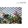 Cover Image for Sunbeam Path Original Mix