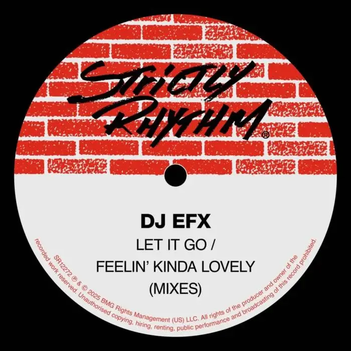 Cover Image: DJ EFX - Let It Go / Feelin' Kinda Lovely (MIXES) on Strictly Rhythm