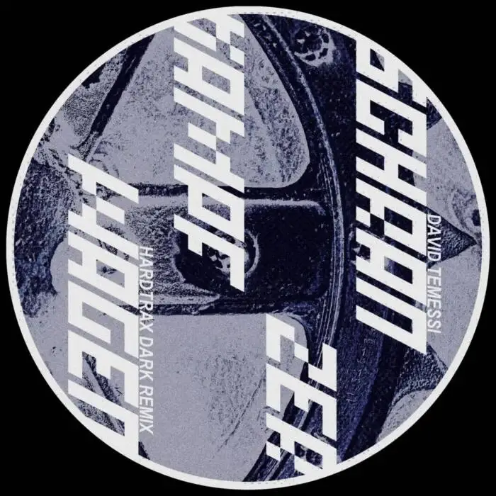Cover Image: Hardtrax, David Temessi - Schranzerkampfwagen (HardtraX Dark Remix) on DSR Digital
