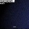 Cover Image for Voices Extended Mix