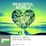 Cover Image for Peaceful World Extended Mix