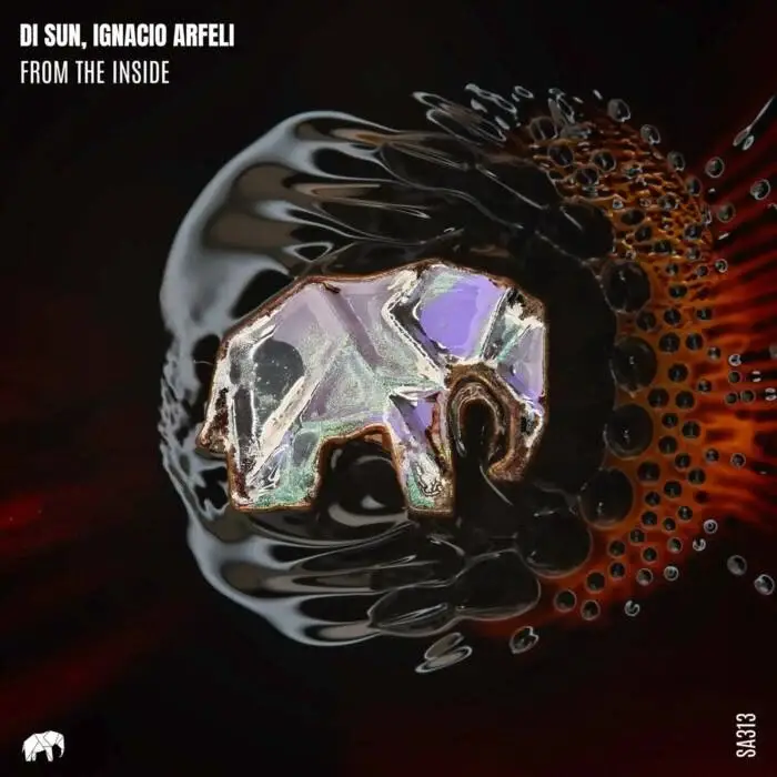Cover Image: Ignacio Arfeli, DI SUN - From The Inside on Set About Music