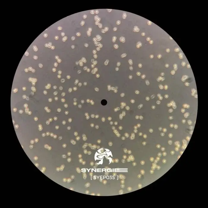 Cover Image: Iceworld - Breathless Echo on Synergie ©