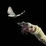 Cover Image for Sweet Disposition ARTBAT Remix