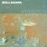 Cover Image for Bull Shark Fouk Remix
