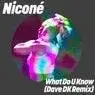 Cover Image for What Do U Know Dave DK Extended Remix
