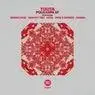 Cover Image for Petalos Colombianos Original Mix