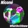Cover Image for What Do U Know Extended Mix