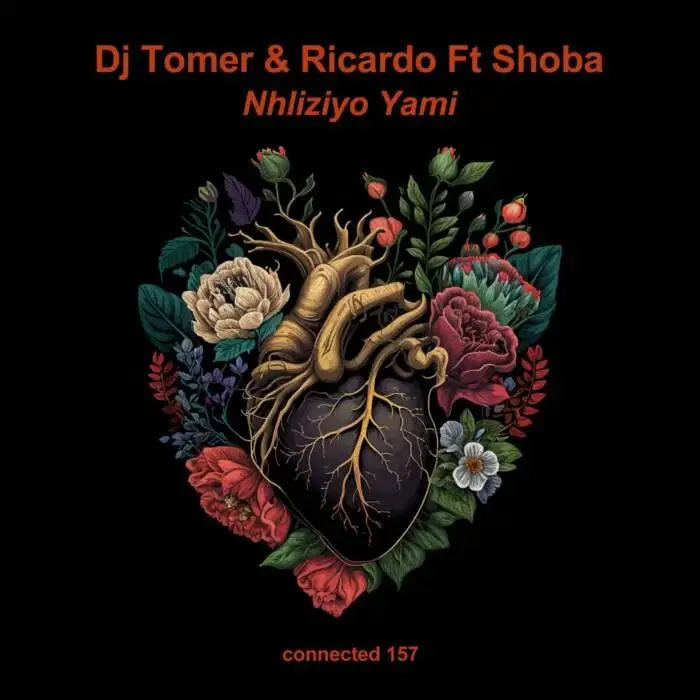 Cover Image: DJ Tomer, Ricardo, Shoba - Nhliziyo Yami on Connected Frontline