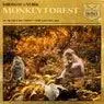 Cover Image for Monkey Forest Extended Mix