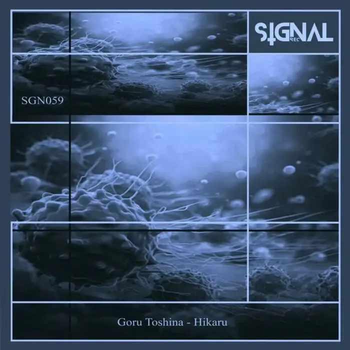 Cover Image: Goru Toshina - Hikaru on Signal LTD