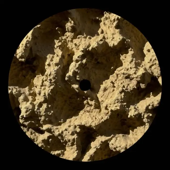 Cover Image: Franco Rossi - Phyllophaga on Oura Records