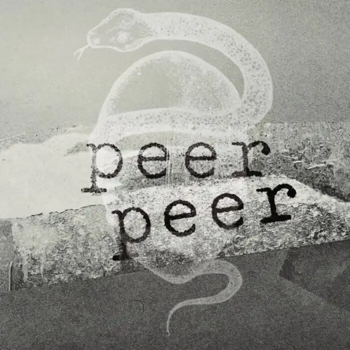 Cover Image: Secus - Negative Form EP on Peer