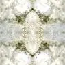 Cover Image for Celenna Original Mix