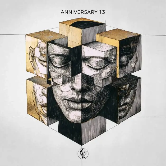 Cover Image: VA - Steyoyoke Anniversary, Vol. 13 on Steyoyoke